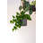 Charlie S (hanging) Black Washed-1005034190-1005034191