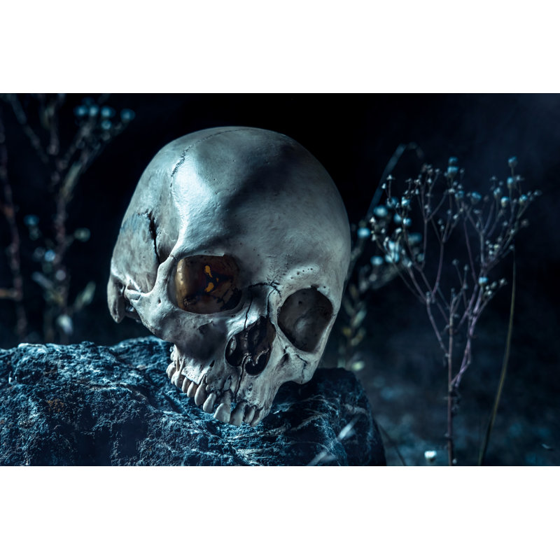 Skull by D-Keine - No Frame Art Prints on Canvas, 51cm H x 76cm W