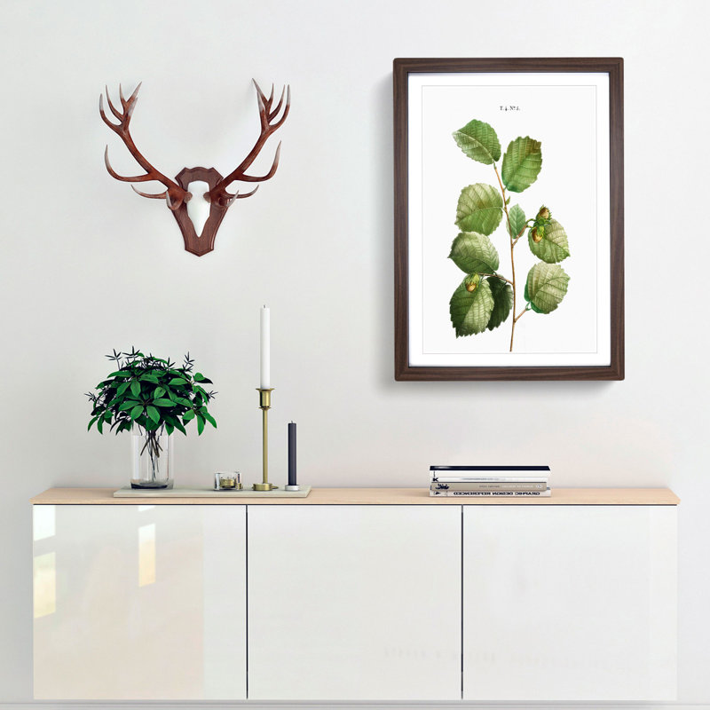 Hazelnut Tree Branch by Pierre-Joseph Redoute - Picture Frame Painting Print, Walnut Framed, 65cm H x 48cm W x 2cm D