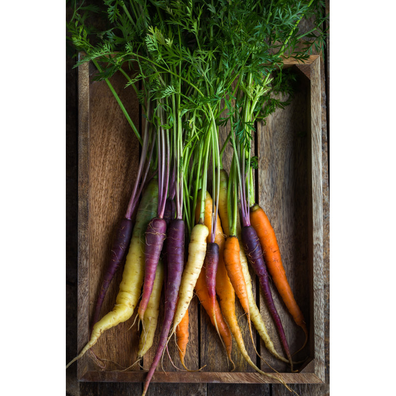 Fresh Carrots by Anna_Shepulova - Wrapped Canvas Print, 76cm H x 51cm W