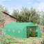 Colquitt 10 Ft W x 20 Ft D Greenhouse