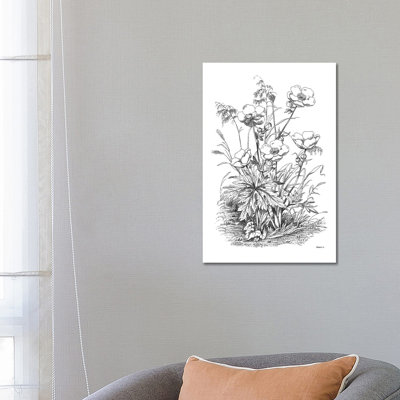 Botanical Black And White IV by Kelly Donovan - Wrapped Canvas Print