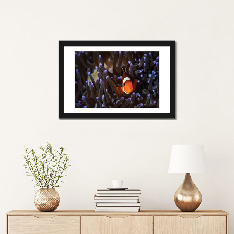 « a clownfish », reproduction d’impression sur toile, H 16 po x l 24 po x P 1 po, Papier avec cadre noir, Blanc