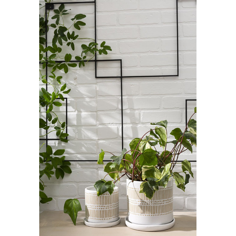 Pot Linden, H 6,5 po x l 6,75 po x P 6,75 po