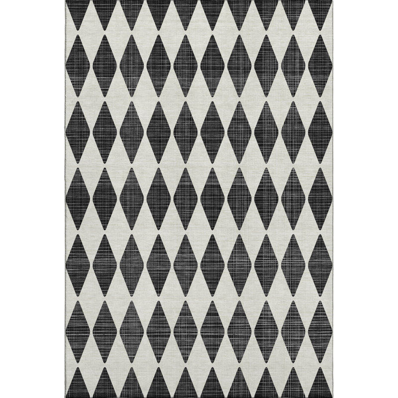Premium Machine Washable Cerrito AMF578 Black Rug, Rectangle 10' x 14'