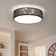 Deontee 14.96'' Linen Dimmable Flush Mount Lighting with Remote and APP