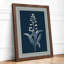 Upright Study Botanical - Framed Print-1582252388-1582252392