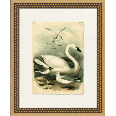 Crackled Marsh Birds IV Painting