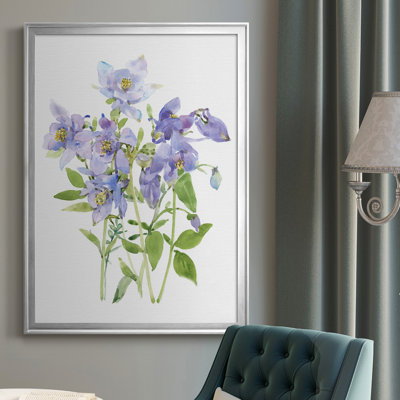 " Columbine Spray I "