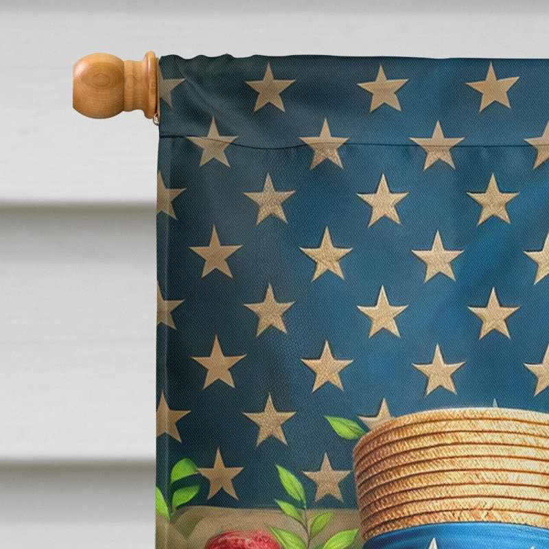 Drapeau «All American House», Retriever du Labrador à rayures bleues et rouges