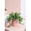 Parsons Handmade Ceramic Pot Planter-149359084-149358867