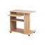 Leming Computer Desk with Keyboard Tray-1250314964