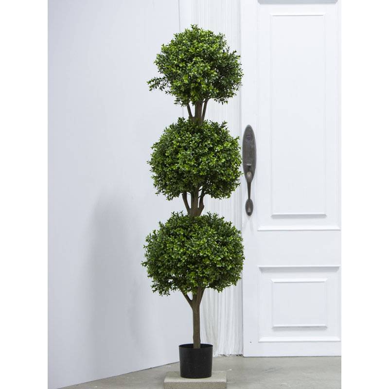 Boule topiaire en pot, H 60 po