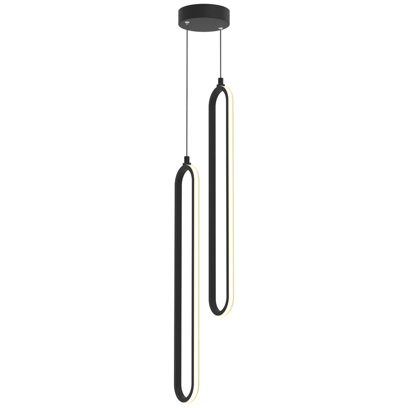 Luminaire suspendu à 2 lumières DEL Zanaia, Noir, H 25 po x l 5 po x P 5 po