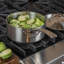 Viking Professional 5-Ply Sauce Pan with Lid-1964363890