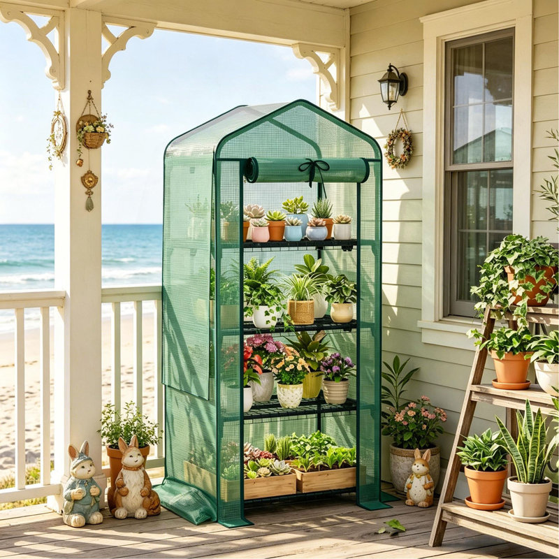 Petite serre d'extérieur, petite serre portative, petite serre de jardin