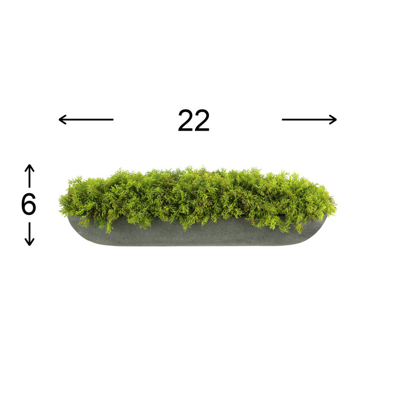 Faux Moss Plant in Fiberstone Planter, Gray, 6"H x 22"W x 7"D