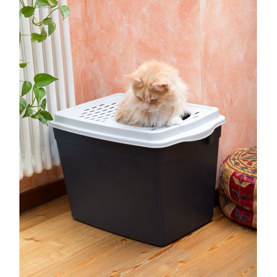 Plastic Litter Box Enclosure