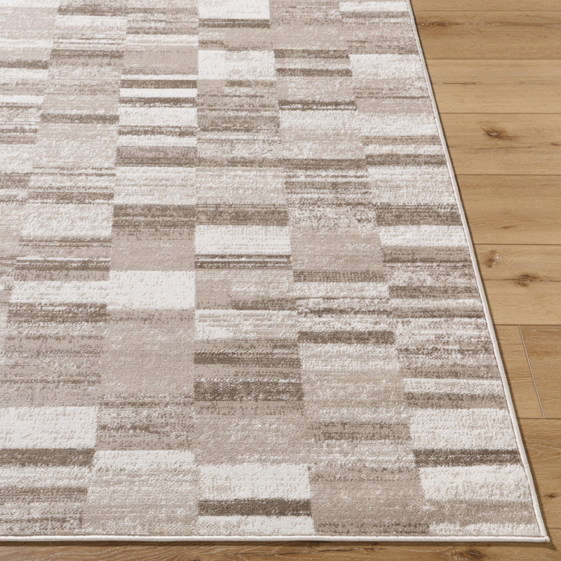 Jayken Checkered Indoor Rug, Rectangle 5'3" x 7'3"