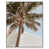 White Floater Frame
