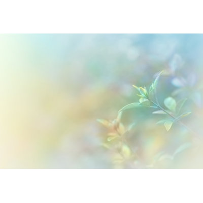 Soft Nature Background by Gawrav - No Frame Art Prints on Canvas