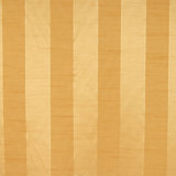 Picasso Fabric
