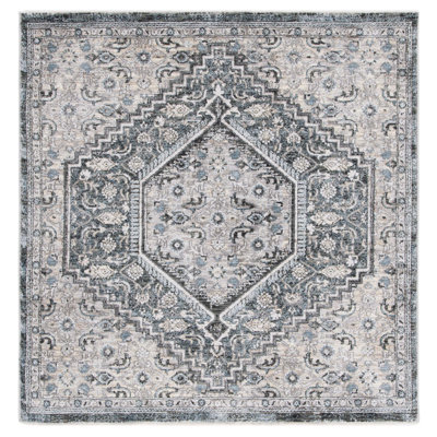 Allegonde Performance Oriental Rug