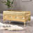 Juilianna Glam Modern Upholstered Storage Bench-774747883