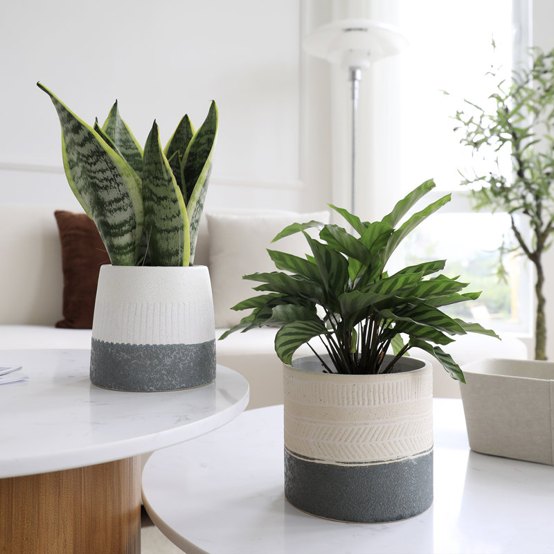 Ensemble de pots à fleurs en céramique 2 pièces Annaus