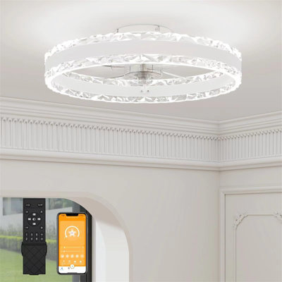 Ceiling Fan with LED Lights