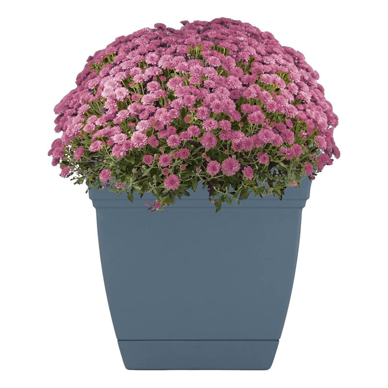 Pot à fleurs en plastique