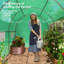 Walk-in Polytunnel Greenhouse, Upgraded Structure-122877629