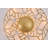 Transitional 12 Light LED Gold Wall Sconce