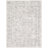 Oriental Indoor Rug-1845358920