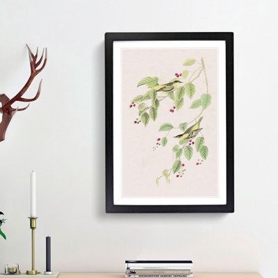 Carbonated Warbler Birds by John Audubon - Picture Frame Painting Print