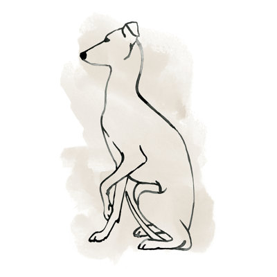 Greyhound Sketch II by Grace Popp - Wrapped Canvas Painting