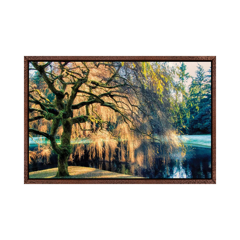 Willow - Print on Canvas, Classic Brown Wood Framed, 66.04 cm H x 45.72 cm W