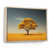 Cadre flottant naturel