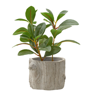 St Philips Marsh Handmade Pot Planter
