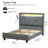 Hudepohl Upholstered Wingback Bed with 52.12" High Storage Headboard, Modern Upholstered Bed Frame with Outlet & LED Light-1644785080-1636301564