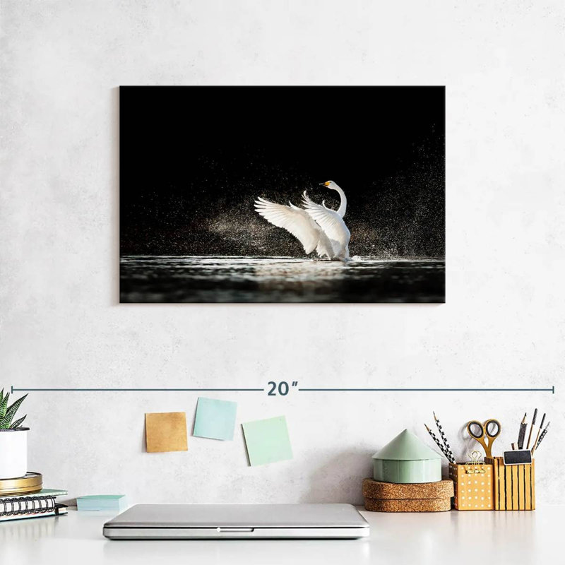 Swan Splashing Water, 8" H x 12" W