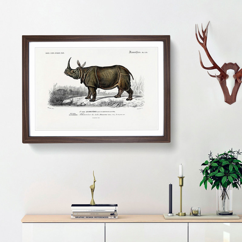 Indian Rhinoceros by Charles dOrbigny - Framed Print, 27cm H x 36cm W x 2cm D, Walnut Framed