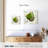 Artichoke-109207751