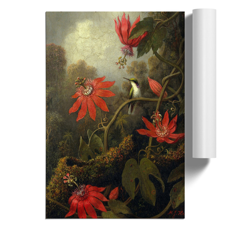Hummingbird And Flowers by Martin Johnson Heade - No Frame Print, 42cm H x 30cm W x 0.1cm D