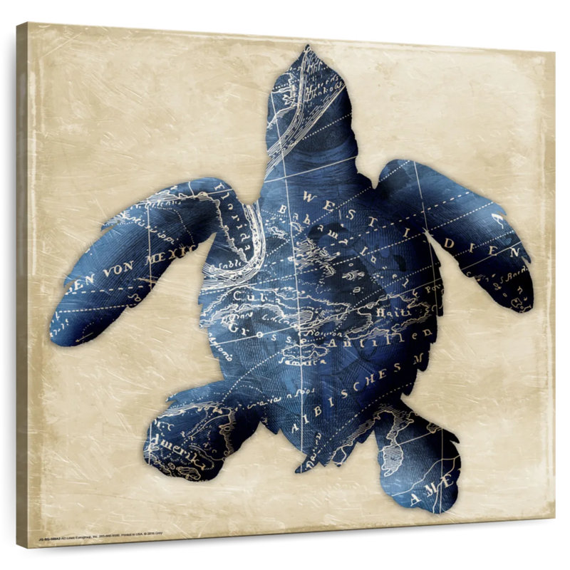 Brampt Map Turtle Indigo