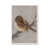 White Framed Paper Print