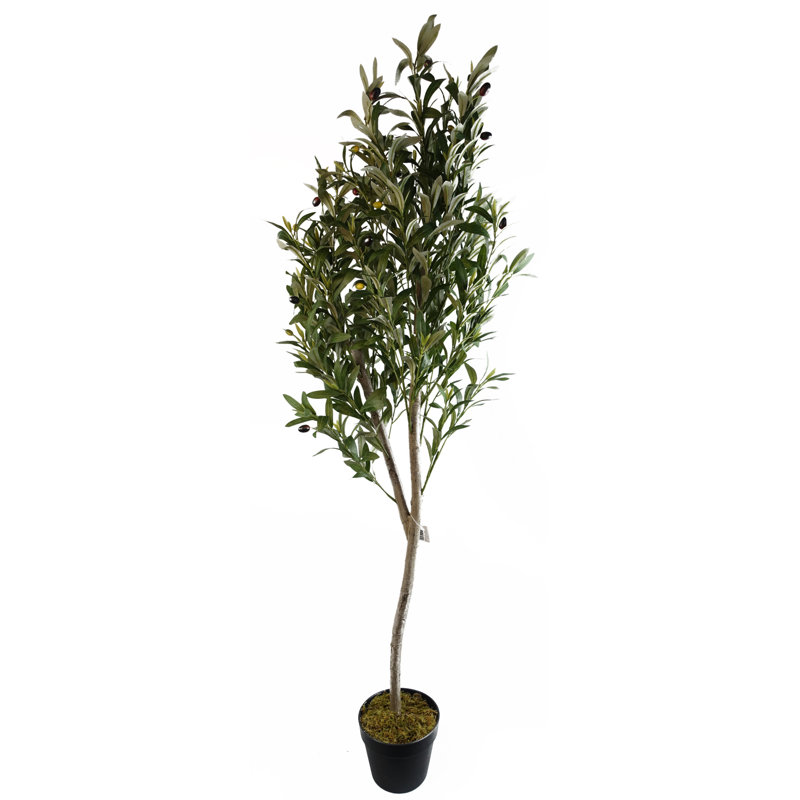 Plastic, Silk Eucalyptus Arrangement in Pot, 180cm H x 50cm W x 50cm D