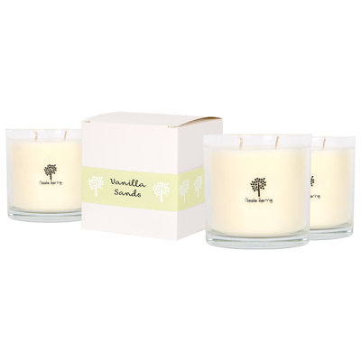 Nicola Spring 400g Vanilla Sands Soy Wax Candles - Pack of 3 Creamy