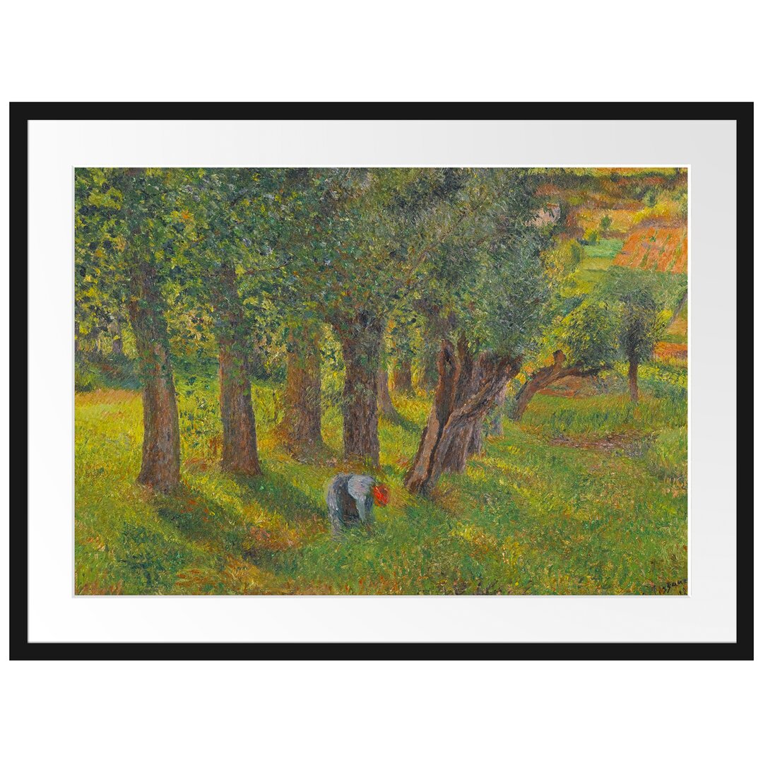 Gerahmter Kunstdruck Le Chou À Pontoise von Camille Pissarro