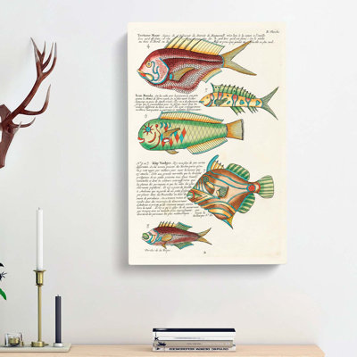 East Indies Fish Illustrations II by Louis Renard - Wrapped Canvas